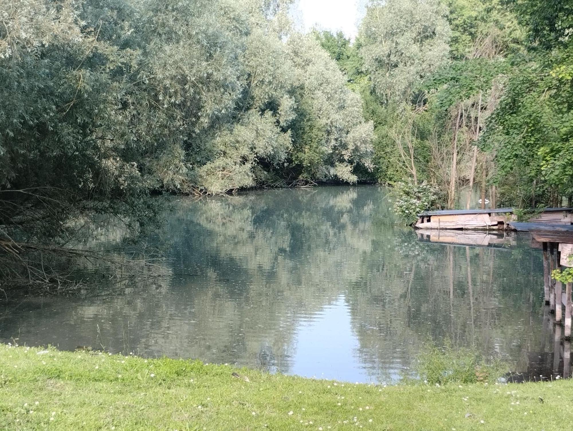 Haras De La Ressee Agnez-les-Duisans Exteriér fotografie